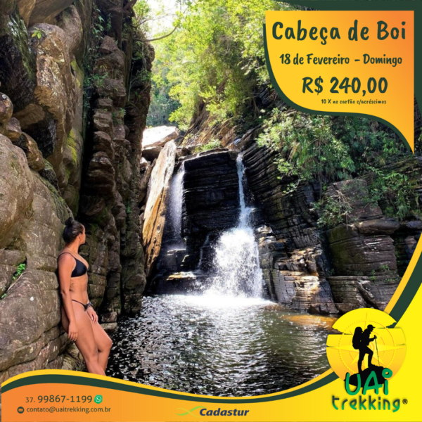 Cabeça de Boi